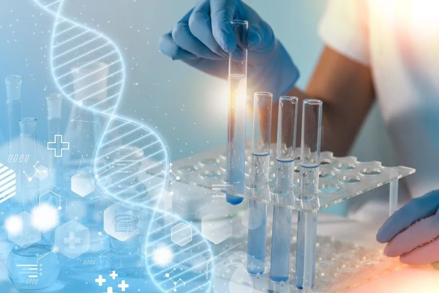 Best Research Peptides for Cognitive Research